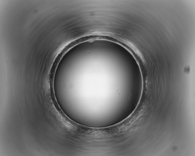 X0000099440972200805161130