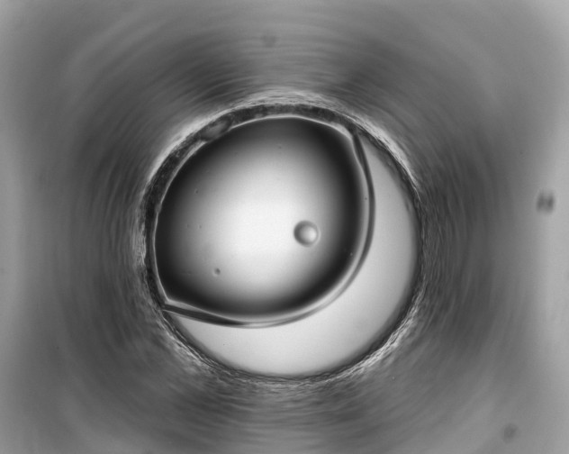 X0000099440973200805161130