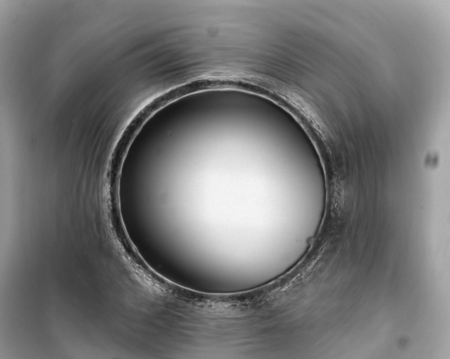 X0000099440976200805161130