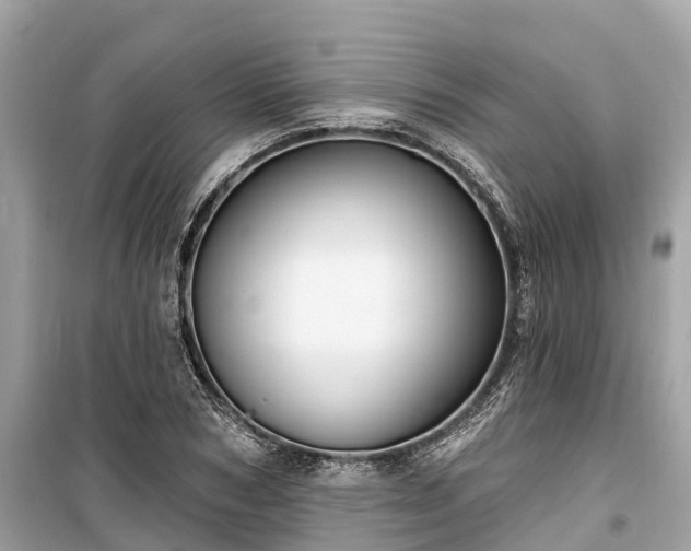 X0000099440978200805161130