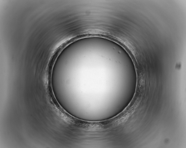 X0000099440979200805161130