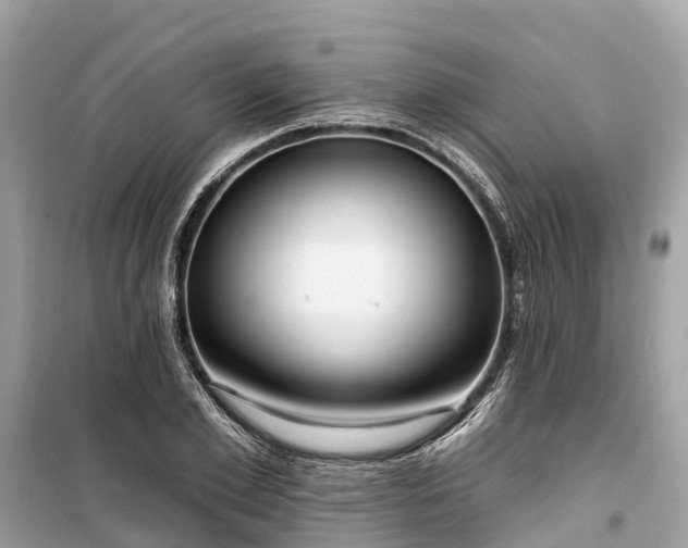 X0000099440981200805161130