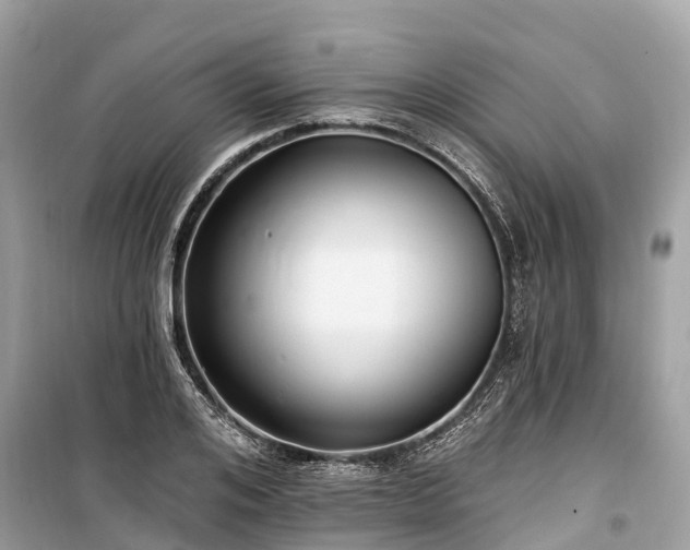 X0000099440984200805161129