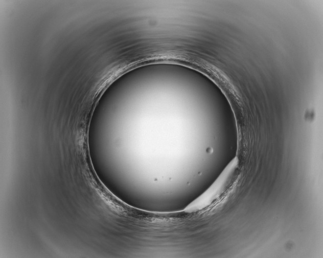 X0000099440985200805161129