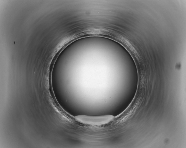 X0000099440986200805161129