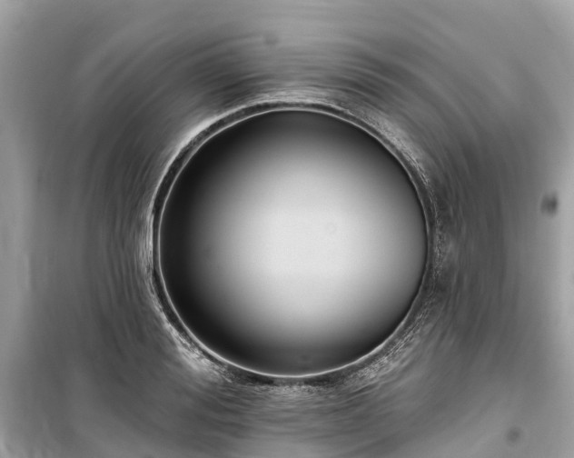 X0000099440988200805161129