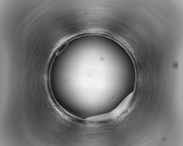 X0000099440989200805161129