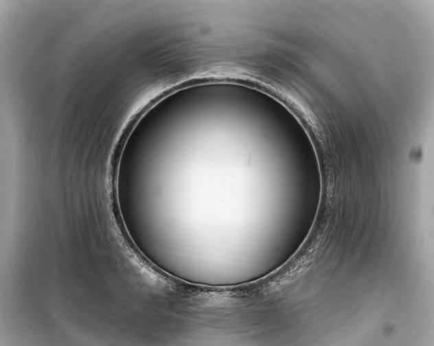 X0000099440990200805161129