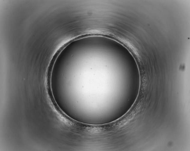 X0000099440991200805161129
