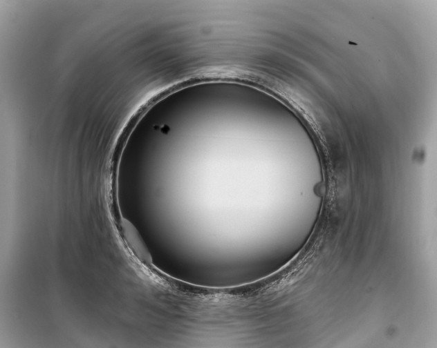 X0000099440992200805161129