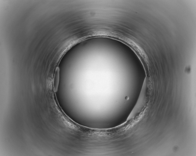 X0000099440993200805161129