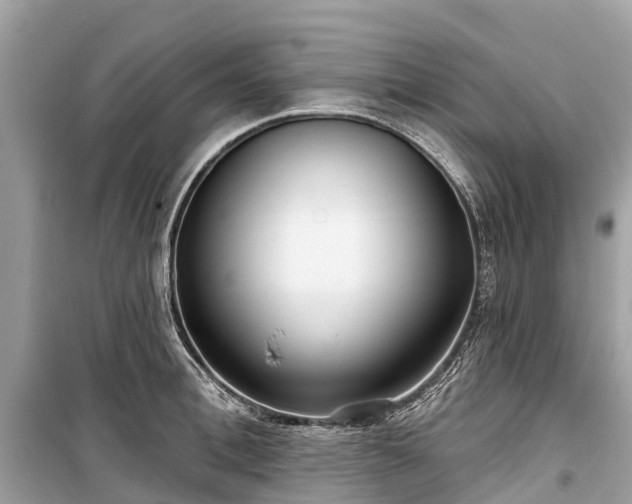 X0000099440996200805161129