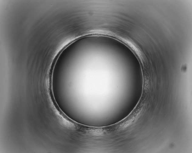 X0000099440999200805161129