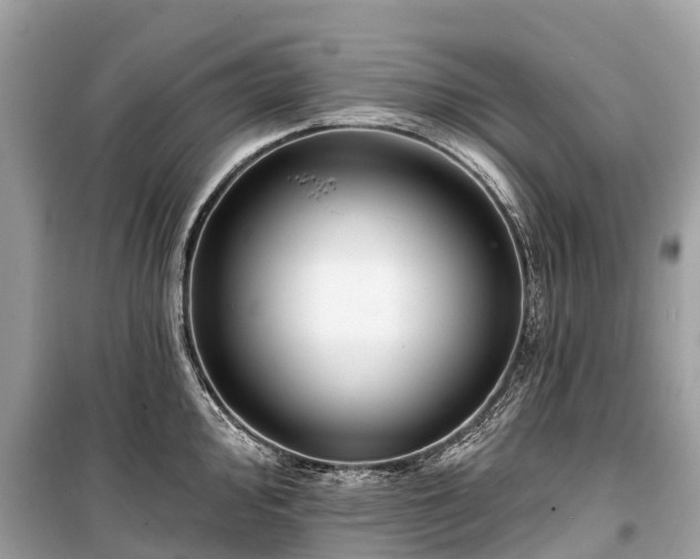 X0000099441000200805161129