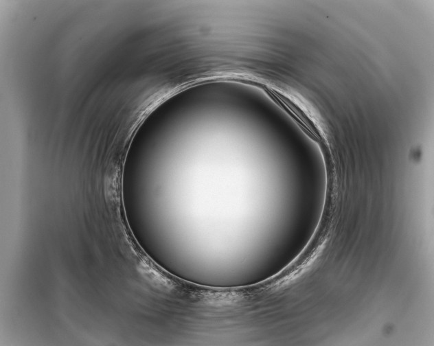X0000099441001200805161129