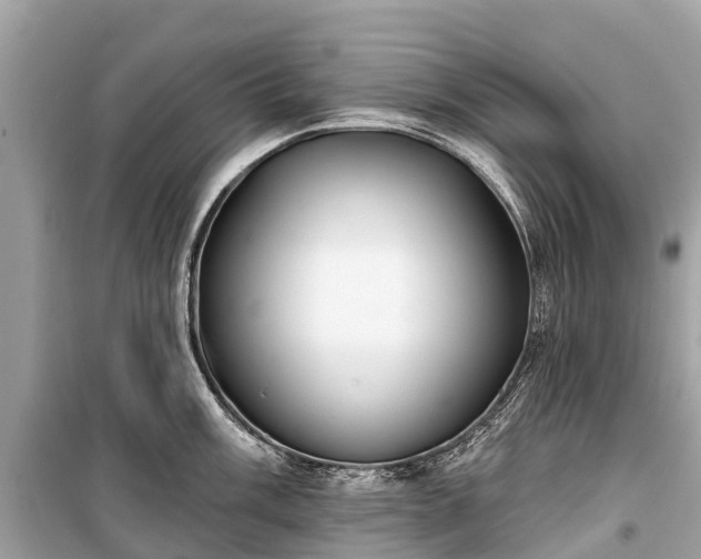 X0000099441003200805161129
