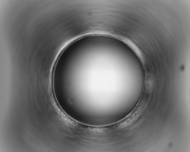 X0000099441004200805161129