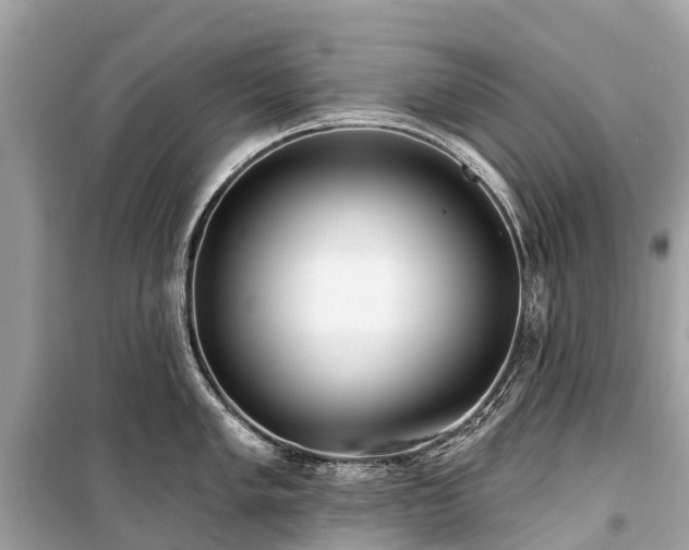X0000099441005200805161129