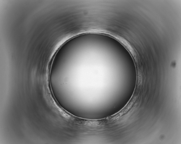 X0000099441006200805161129