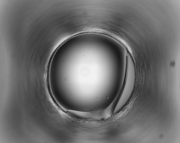X0000099441007200805161129