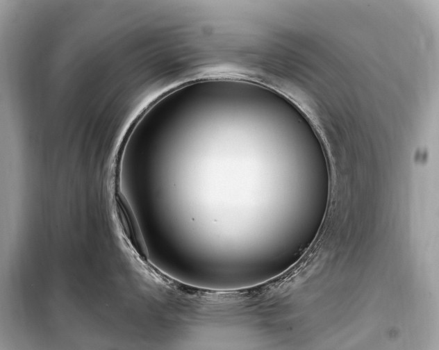 X0000099441008200805161129