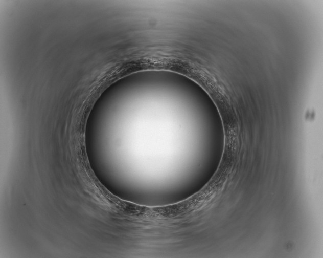 X0000099441009200805161128