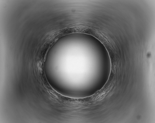 X0000099441010200805161128