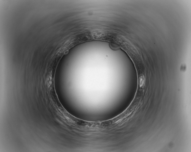 X0000099441011200805161128