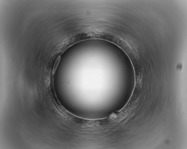 X0000099441012200805161128