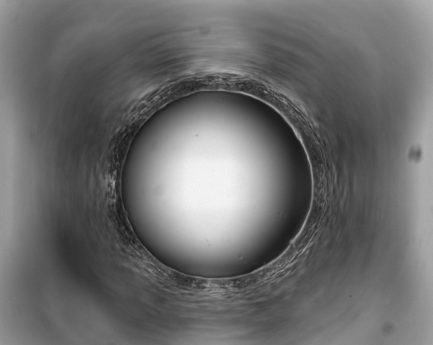 X0000099441013200805161128