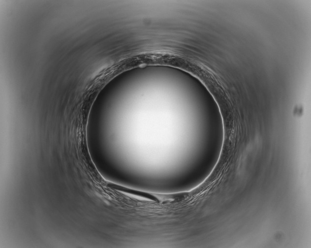 X0000099441014200805161128