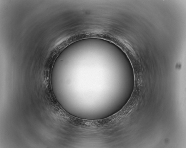 X0000099441015200805161128