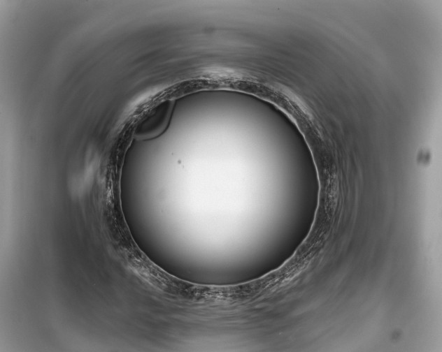 X0000099441016200805161128