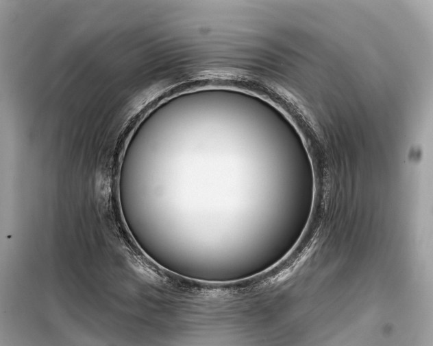 X0000099441017200805161129