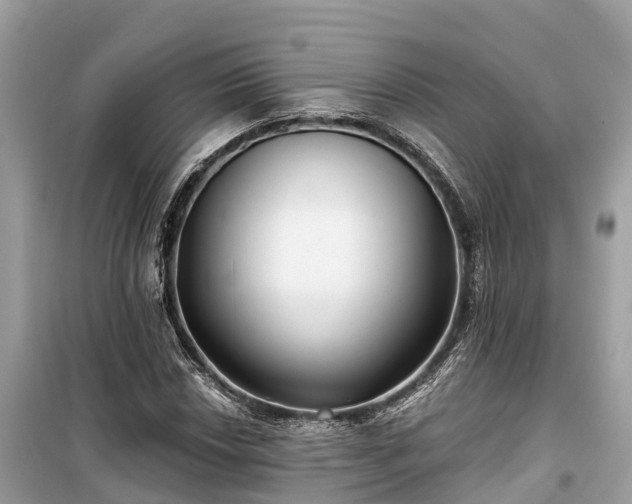 X0000099441018200805161129