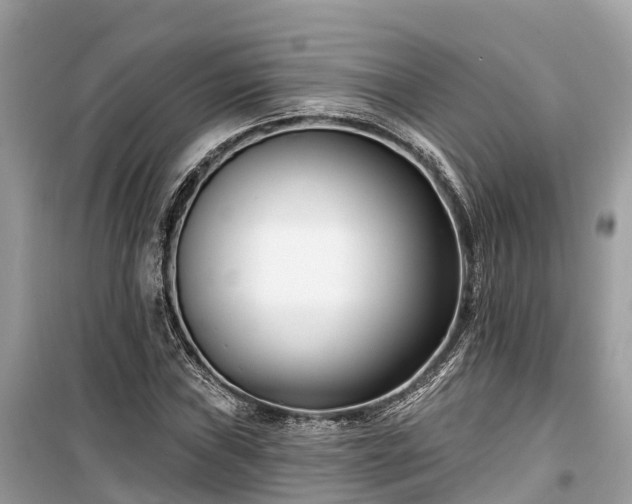 X0000099441019200805161129