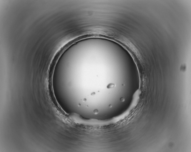 X0000099441020200805161129