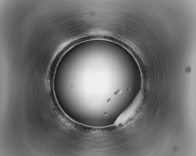 X0000099441022200805161129