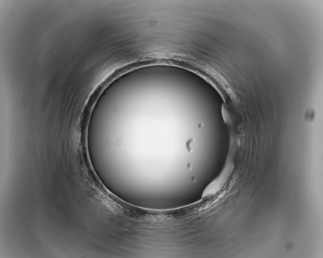 X0000099441023200805161129