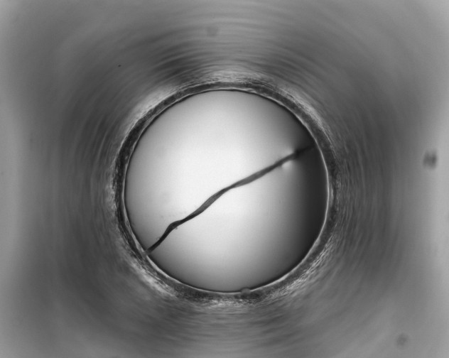 X0000099441026200805161129