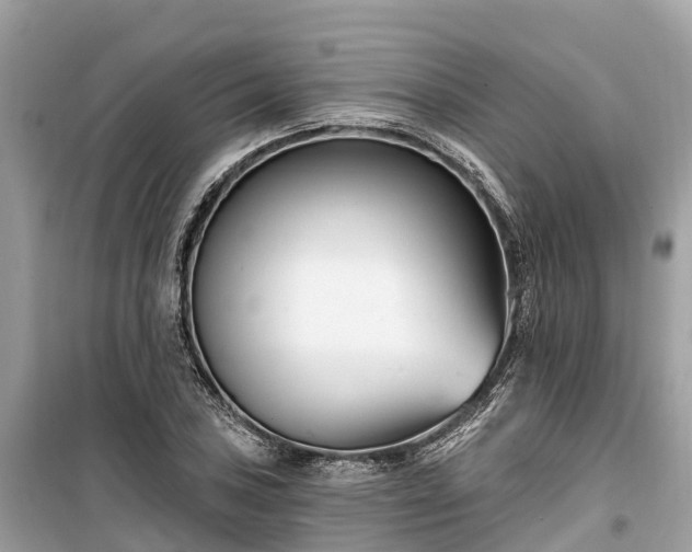 X0000099441027200805161129
