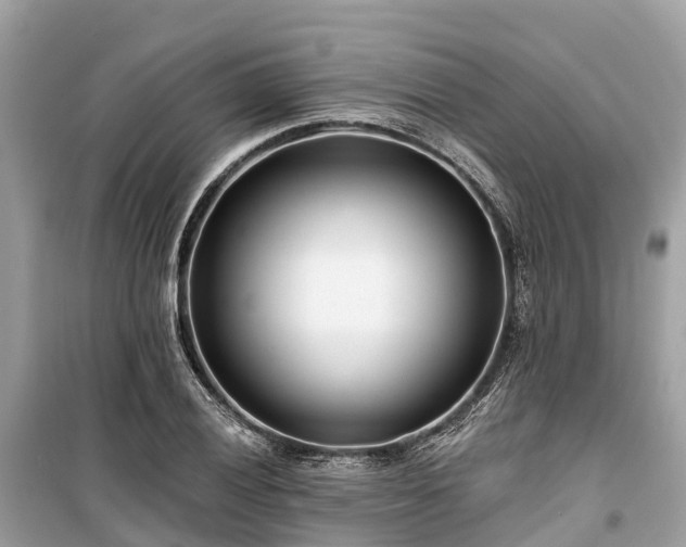 X0000099441028200805161129