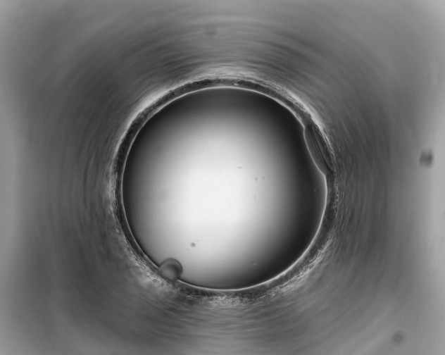 X0000099441029200805161129