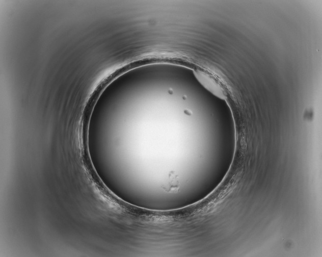 X0000099441030200805161129