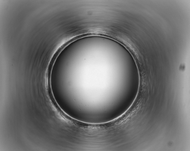 X0000099441032200805161129