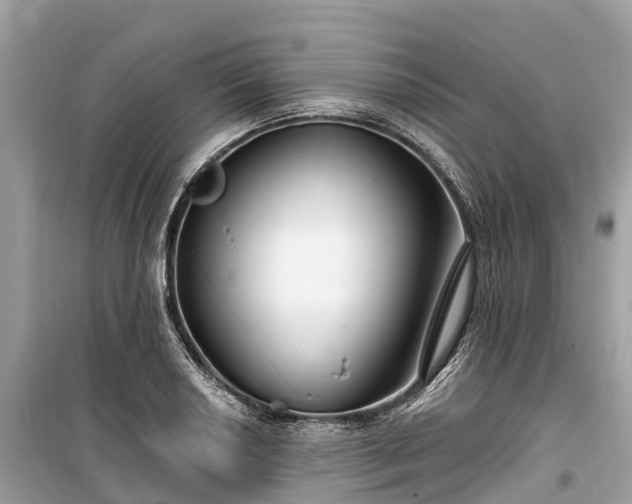X0000099441034200805161129