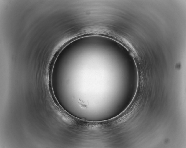 X0000099441035200805161129