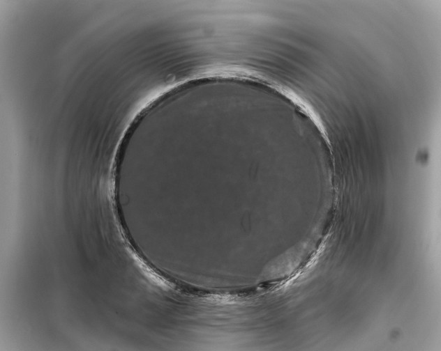X0000099441037200805161129