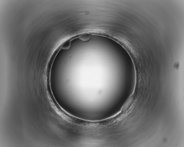 X0000099441038200805161129