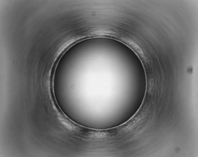 X0000099441039200805161129